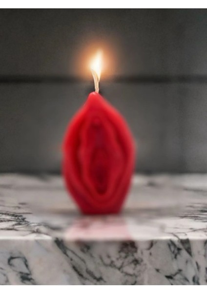 Aresmumatölyesi Dekoratif Hediyelik Esprili Mum