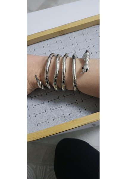 Çelik Yılan Model Kolye Bileklik Tasarım Aksesuar
