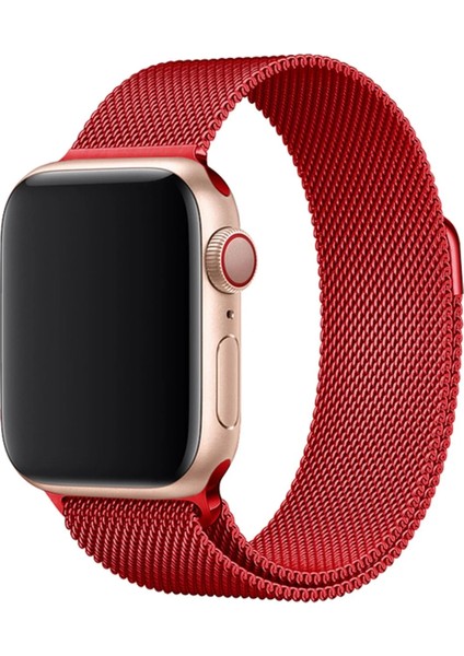 Digizone Apple Watch Uyumlu Seri 1-9 (38/40/41MM) – S10 (42MM) Uyumlu Metal Hasır Mıknatıslı Kordon