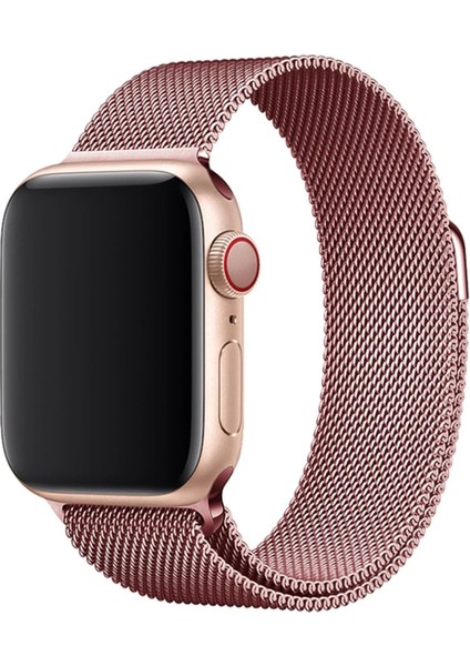 Digizone Apple Watch Uyumlu Seri 1-9 (38/40/41MM) – S10 (42MM) Uyumlu Metal Hasır Mıknatıslı Kordon