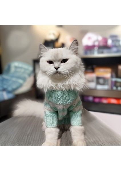 Kedi Köpek İçin Turkuaz Beyaz Çizgili Kazak fiyatları