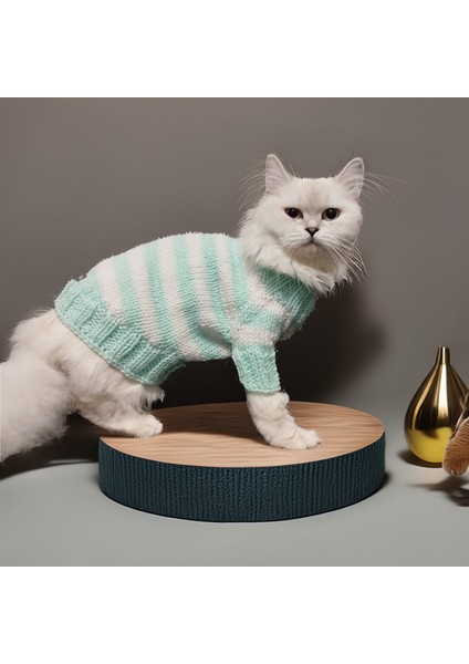Kedi Köpek İçin Turkuaz Beyaz Çizgili Kazak fırsatları