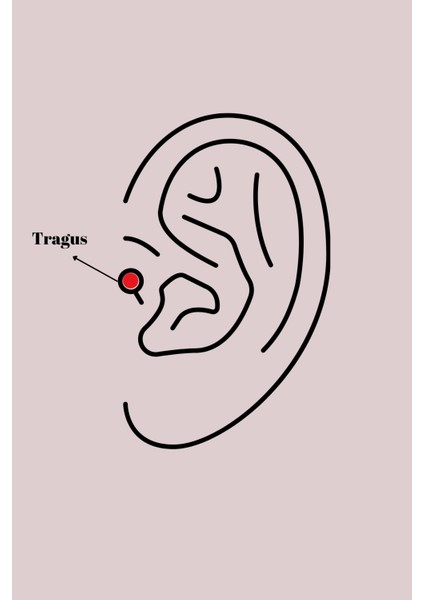 316L Çelik Gümüş Renk Zirkon Taşlı Yaprak Model Tragus Piercing - TJ-PR1303