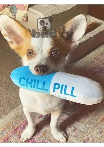 Chill Pill Peluş Mavi Köpek Oyuncağı | Sesli Yapı | Güvenli Malzeme | Renkli Tasarım
