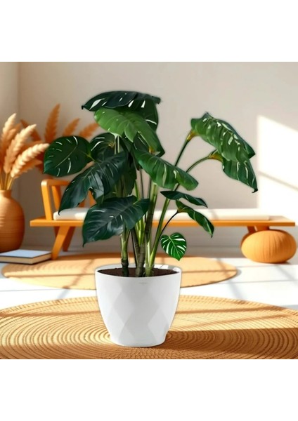 Modern Elmas Desenli Saksı 15 Litre - Dekoratif Saksı, Büyük Boy Yuvarlak Saksı 32,5X28,5 cm fiyatları