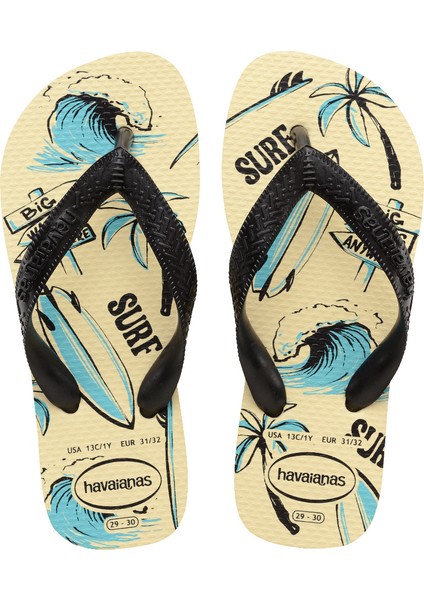 Havaianas Erkek Plaj Terliği 4127273