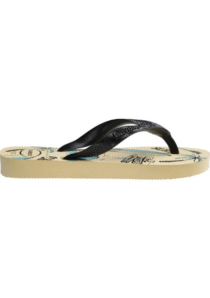Havaianas Erkek Plaj Terliği 4127273 fiyatları