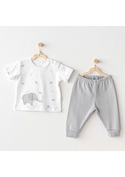 Andywawa AC25809 Little King 2'li Takım Grey