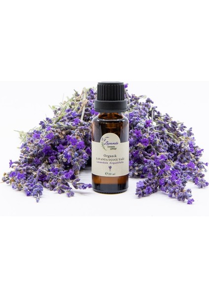 Lavande Organik Lavanta Yağı (L. Angustifolia) 20ML-İÇTEN Damlalıklı