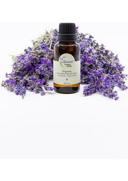 Lavande Organik Lavanta Yağı (L. Angustifolia) 30ML-İÇTEN Damlalıklı fiyatları