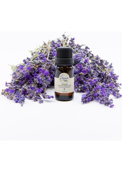 Lavande Organik Lavanta Yağı (L. Angustifolia) 10ML-İÇTEN Damlalıklı fiyatları