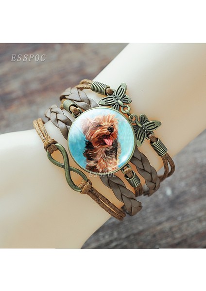 Altın Rengi Siyah Dachshund Köpek Bulldog Takı Cam Kubbeye Dokuma Charm Bilezik Köpek Evcil Hayvan Bileziği Köpek Sever Hediyeleri (Yurt Dışından) fırsatları