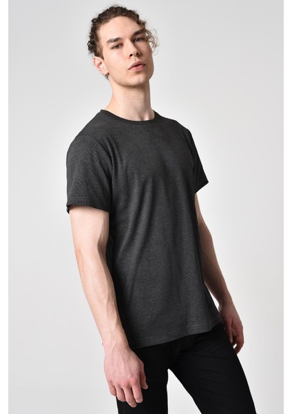 Alexandergardı Regular Fit T-Shirt (E19-08314) fiyatları