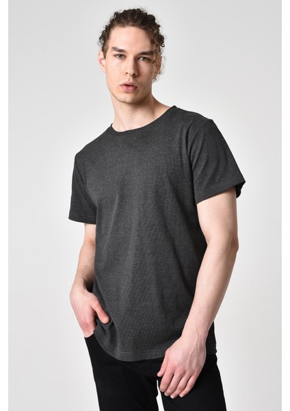 Alexandergardı Regular Fit T-Shirt (E19-08314) modelleri