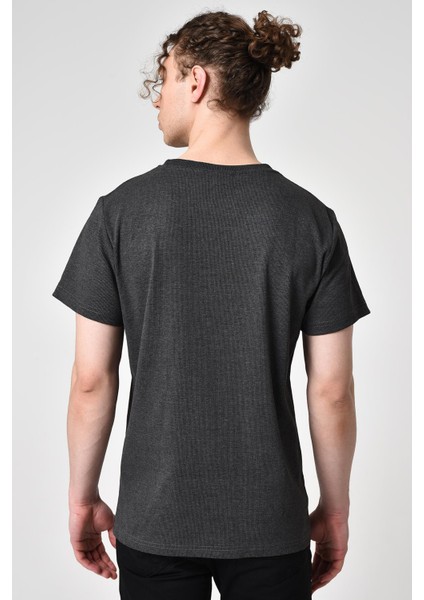 Alexandergardı Regular Fit T-Shirt (E19-08314) fırsatları