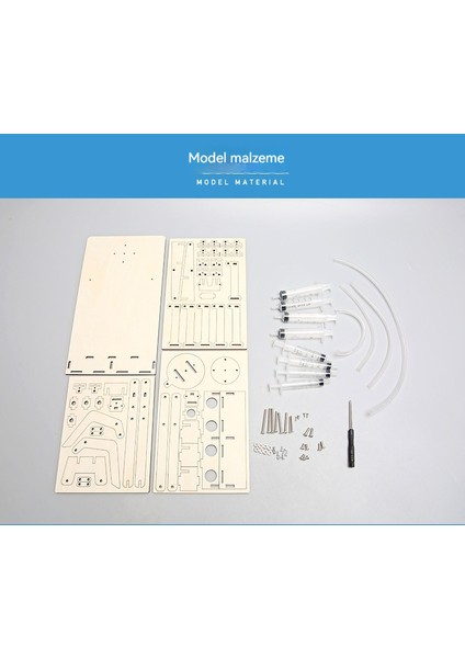 Teknoloji Küçük Yapım Hidrolik Mekanik Kol Diy Bilim Deney Oyuncak (Yurt Dışından) fiyatları