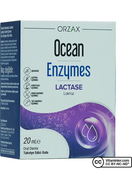 Ocean Enzymes Lactase Damla 20 ml