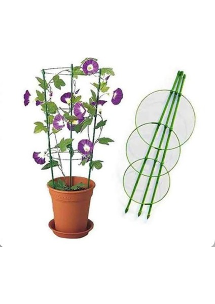 Bitki Çiçek Fidan Destek Çubuğu 75CM / 45 cm 3’lü Halkalı Bitki Tırmanma Çubuğu