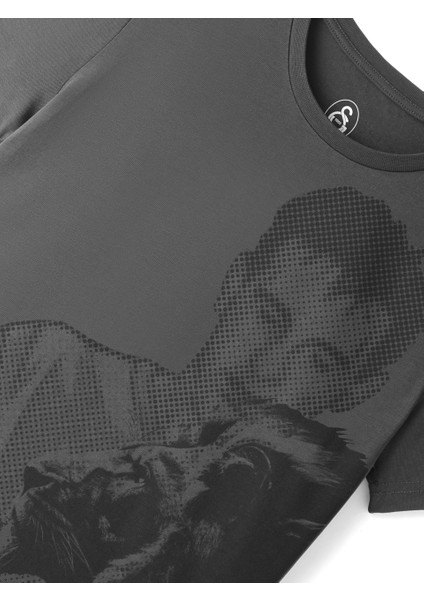 Galatasaray Çocuk T-Shirt C251070 indirimleri