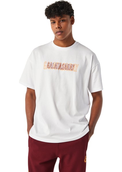 Galatasaray Erkek T-Shirt E251062 fiyatları