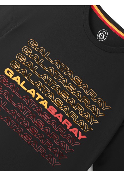 Galatasaray Erkek T-Shirt E251065 indirimleri