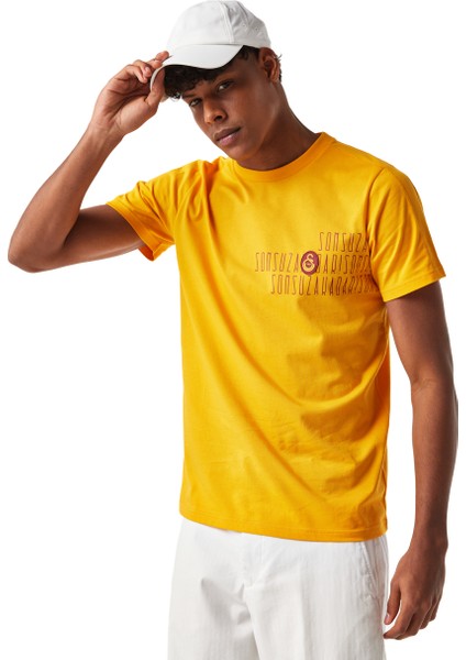 Galatasaray Erkek T-Shirt E251064 fiyatları