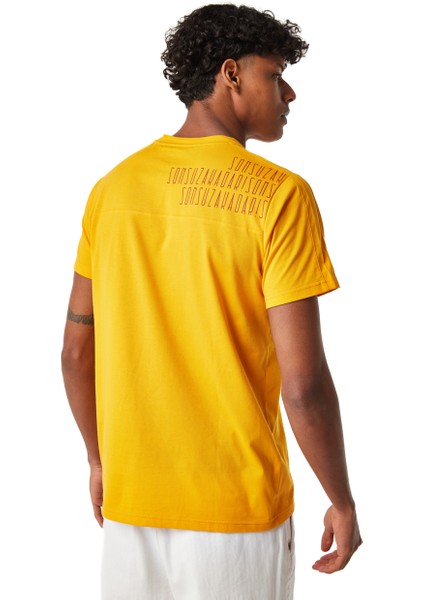 Galatasaray Erkek T-Shirt E251064 modelleri