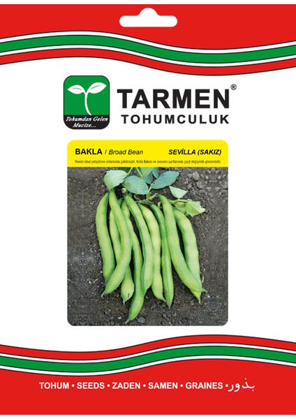 Sakız Bakla Tohumu
