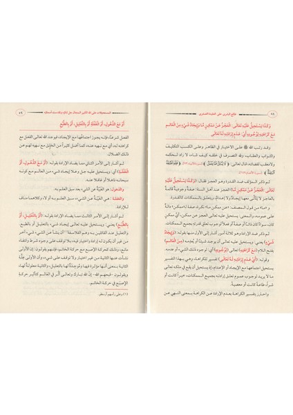 Taliüb-Büşra Ala Akidetüs-Suğra