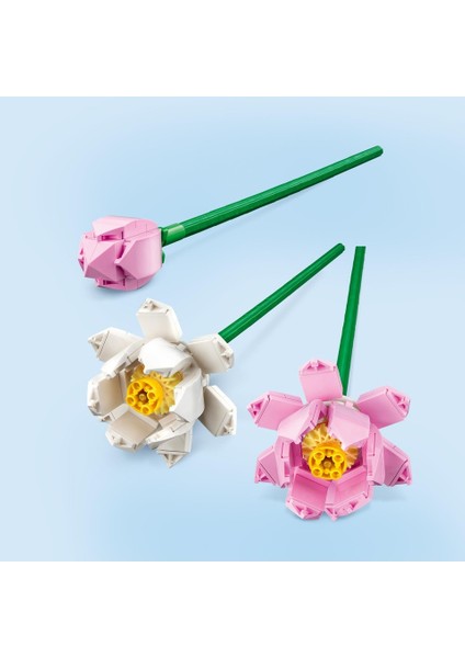 Iconic Lotus Çiçekleri 40647 - Dekoratif, Koleksiyonluk ve Sergilenebilir Çiçek Modeli Yapım Seti (220 Parça) indirimleri