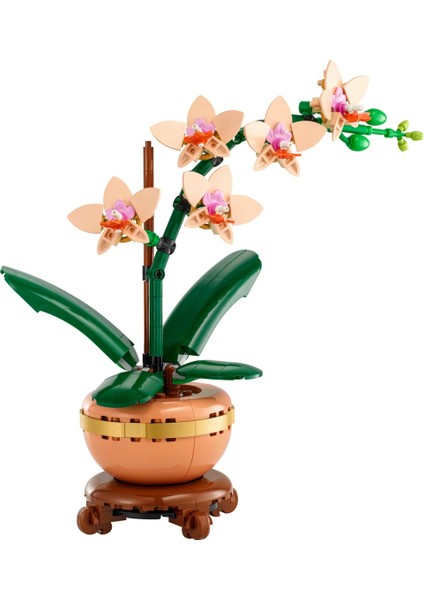 Botanicals Mini Orkide 10343 - Yetişkinler Için Dekoratif Çiçek Yapım Seti (274 Parça)