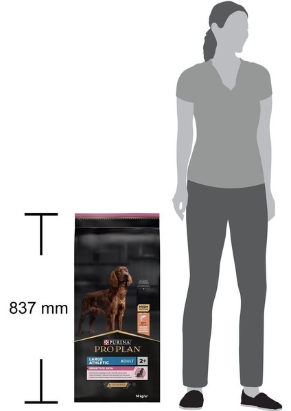 Proplan Büyük Irk Somonlu Yetişkin Köpek Maması 14 kg
