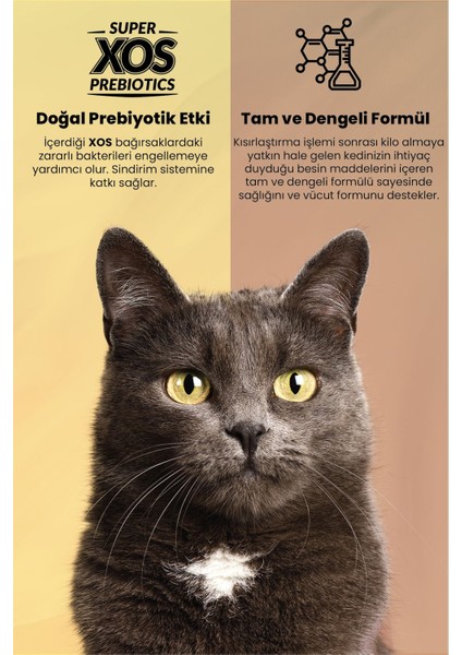 Plus Somonlu Kısırlaştırılmış Kedi Maması 1,5 kg