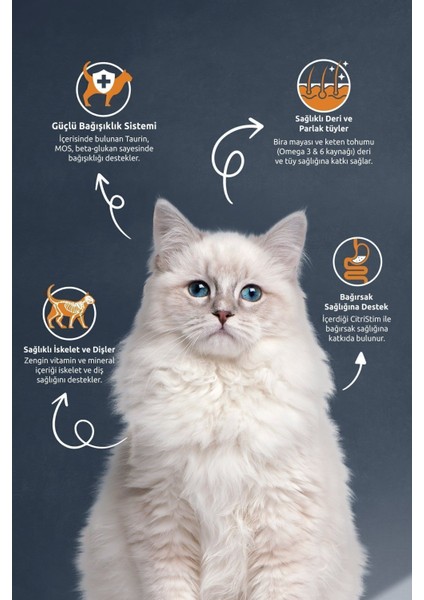 Kısırlaştırılmış Somonlu ve Pirinçli Yetişkin Kedi Maması 2 kg