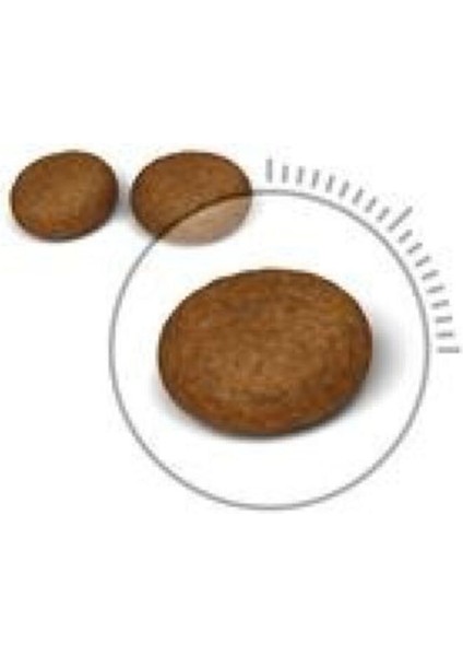 Hair&skin 2kg Uzun Tüylü Kedileri Için Kuru Kedi Maması fiyatları