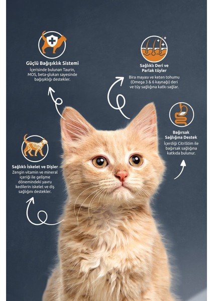 Kitten Tavuklu Pirinçli Yavru Kedi Maması 2 kg x 2 Adet