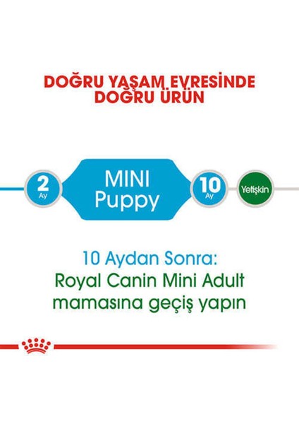 Mini Puppy Küçük Irk Yavru Köpek Maması 4 kg