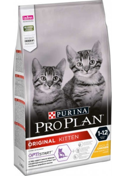 Original Kitten (Junior) Kedi Maması 10KG