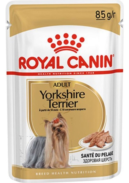 Yorkshire Terrier Adult Yetişkin Köpek Konservesi 85 gr