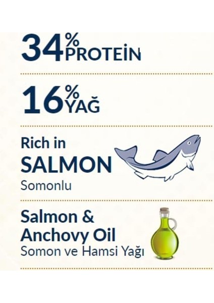 Az Tahıllı 12 kg Somonlu Yetişkin Kedi Maması fırsatları