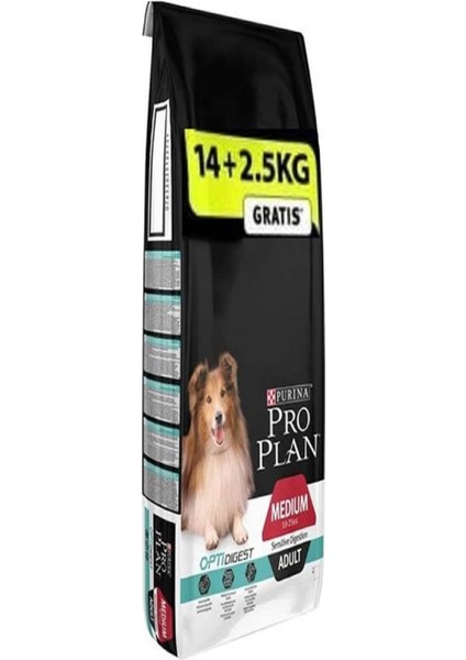 Adult Lamb Kuzu Etli Yetişkin Köpek Maması 14+2,5 kg