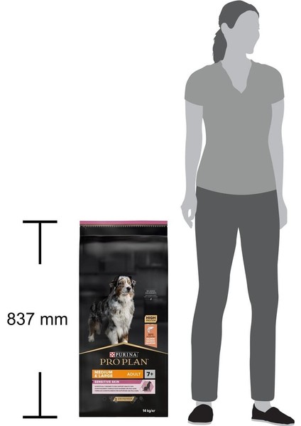 Senior Somonlu +7 Yaşlı Köpek Maması 14 kg
