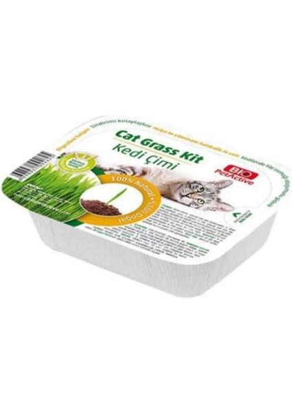 Grass Kit Natual Kedi Çimi