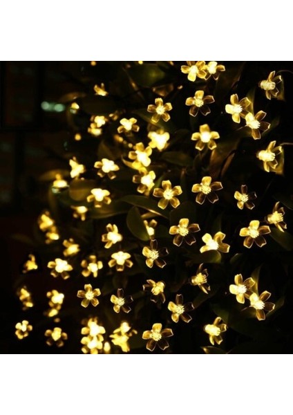 Solar 5m 50 LED Papatya Gün Işığı 8 Fonksiyonlu