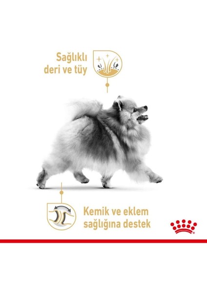 Pomeranian Yetişkin Köpek Irk Maması 3 kg