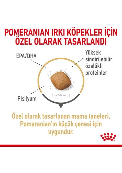 Pomeranian Yetişkin Köpek Irk Maması 3 kg