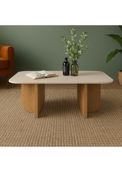 Rustik Modern Orta Sehpa Dekoratif Kolay Kurulum Estetik Küçük Salon Sehpası fiyatları