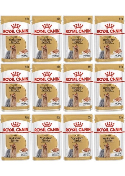 Yorkshire Terrier Adult Yas Mamasi 85GR x 12 Adet
