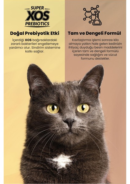 Tavuklu Kısırlaştırılmış Kedi Maması 1.5 kg fiyatları