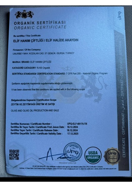 %0.1 Asit Oranı Yüksek Polifenol (427++) Oganik Natürel Sızma Zeytinyağı 1 Litre
